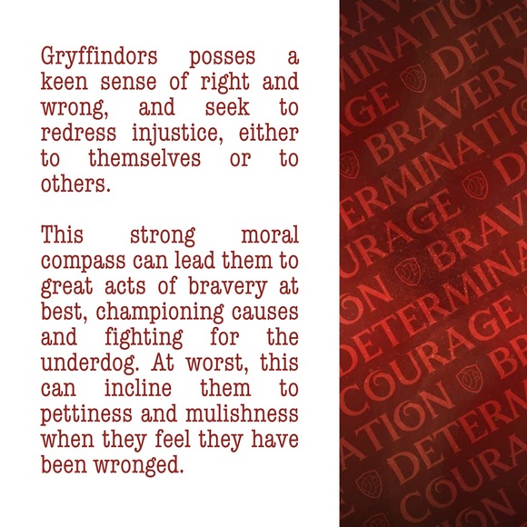 New Handmade Gold-Tone “Gryffindor” (Harry Potter) Necklace and Earrings Set - Picture 9 of 9